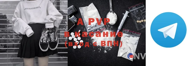 индика Абинск