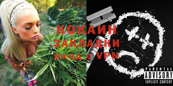 индика Абинск