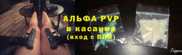 индика Абинск