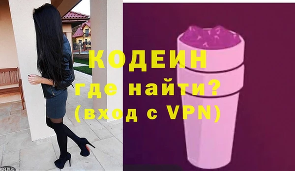 индика Абинск