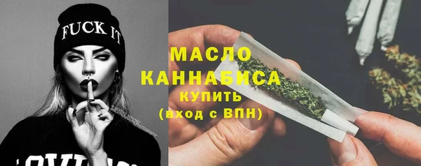 индика Абинск