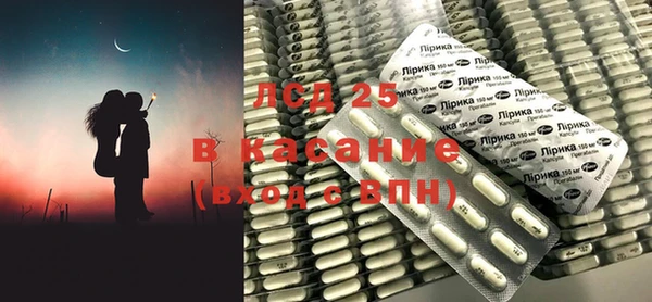 индика Абинск