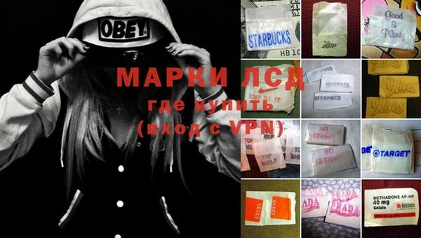 индика Абинск