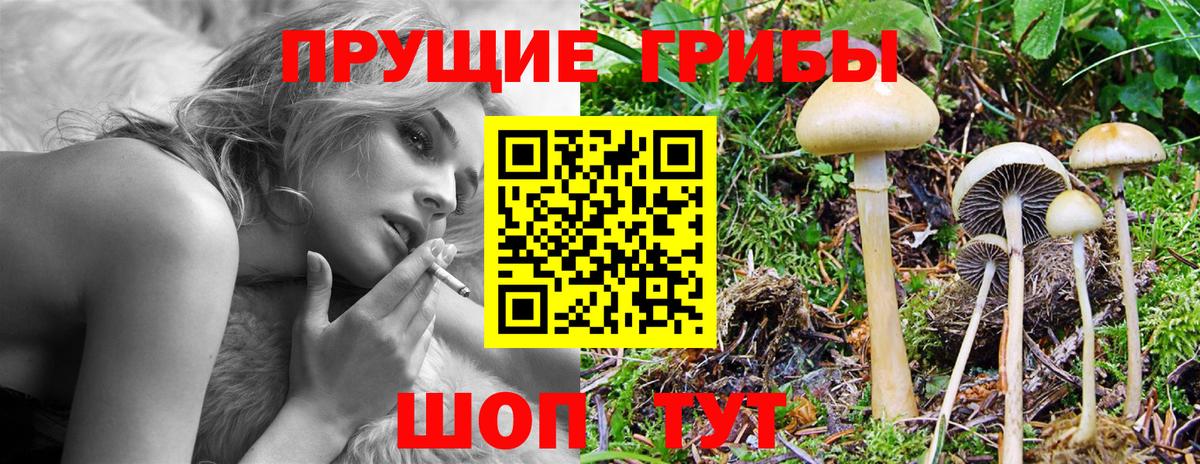 Нефтеюганск  закладки  Псилоцибиновые грибы Cubensis  Вход с VPN  Галлюциногенные грибы мухоморы 
