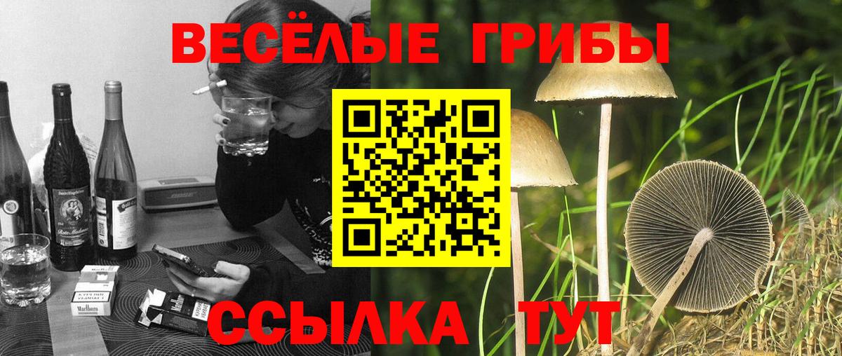 Галлюциногенные грибы GOLDEN TEACHER Нефтеюганск